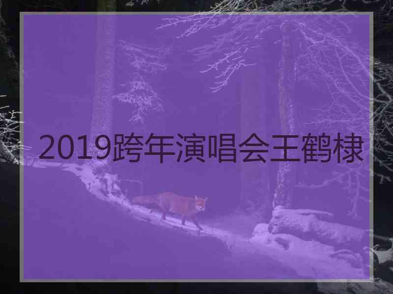 2019跨年演唱会王鹤棣