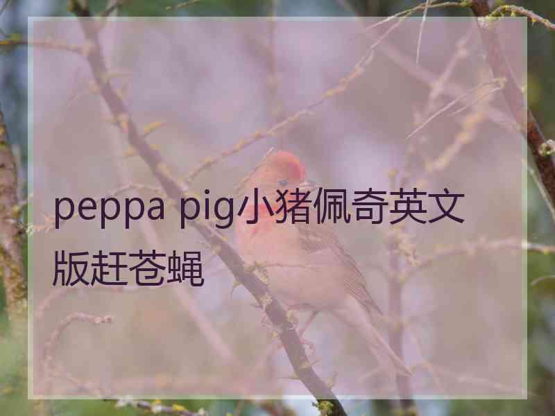 peppa pig小猪佩奇英文版赶苍蝇