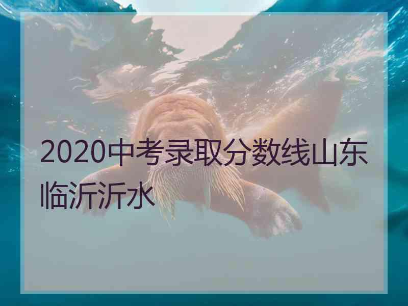 2020中考录取分数线山东临沂沂水