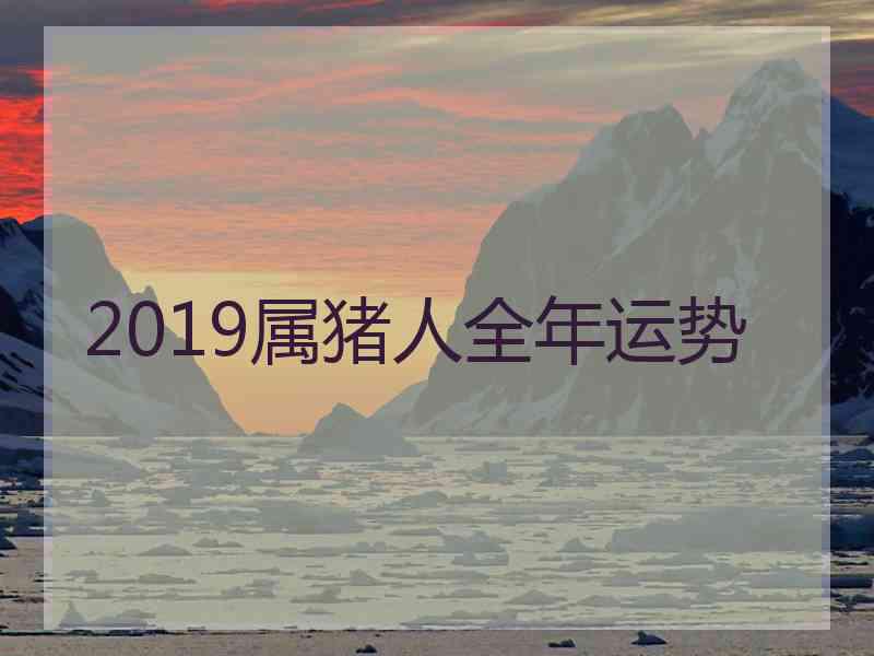 2019属猪人全年运势