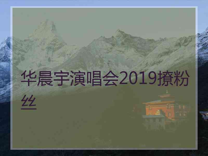 华晨宇演唱会2019撩粉丝