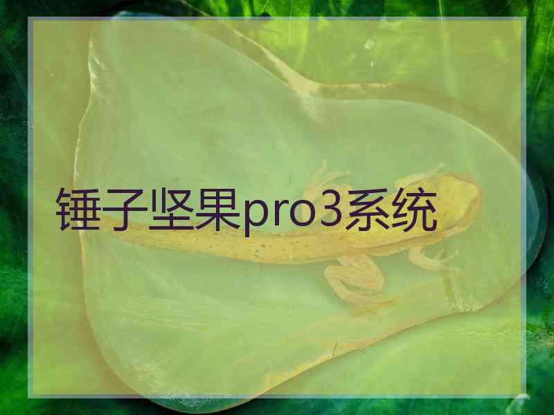 锤子坚果pro3系统