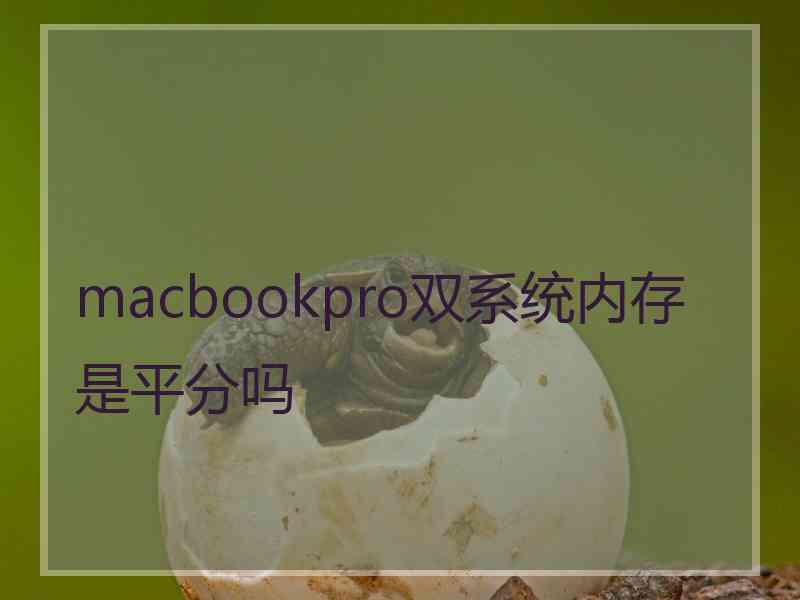 macbookpro双系统内存是平分吗