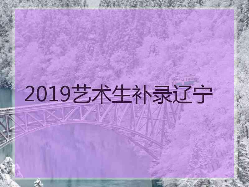 2019艺术生补录辽宁