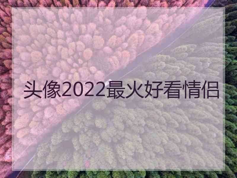 头像2022最火好看情侣