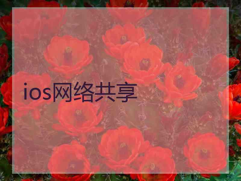 ios网络共享