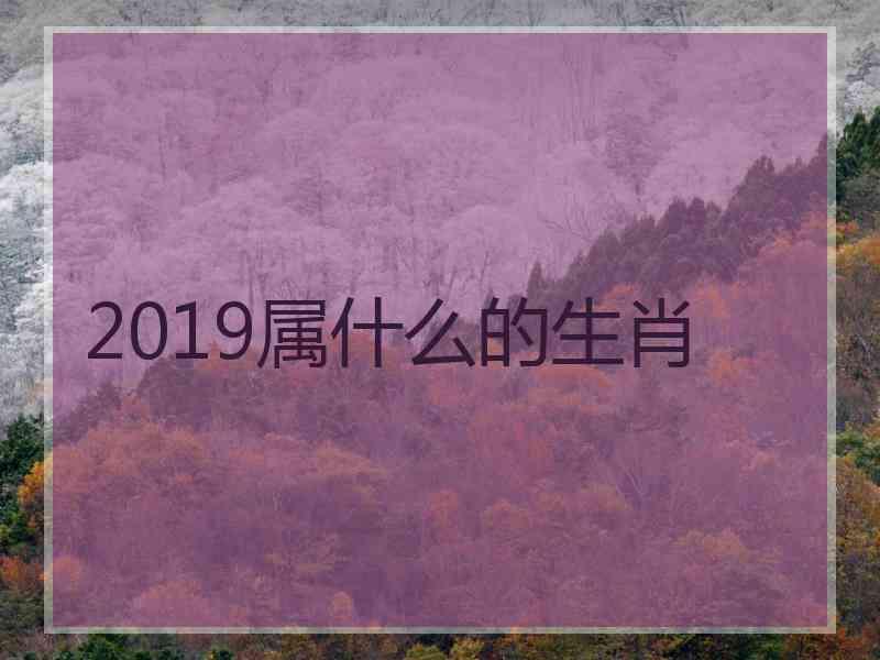 2019属什么的生肖