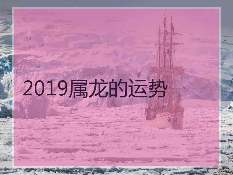 2019属龙的运势