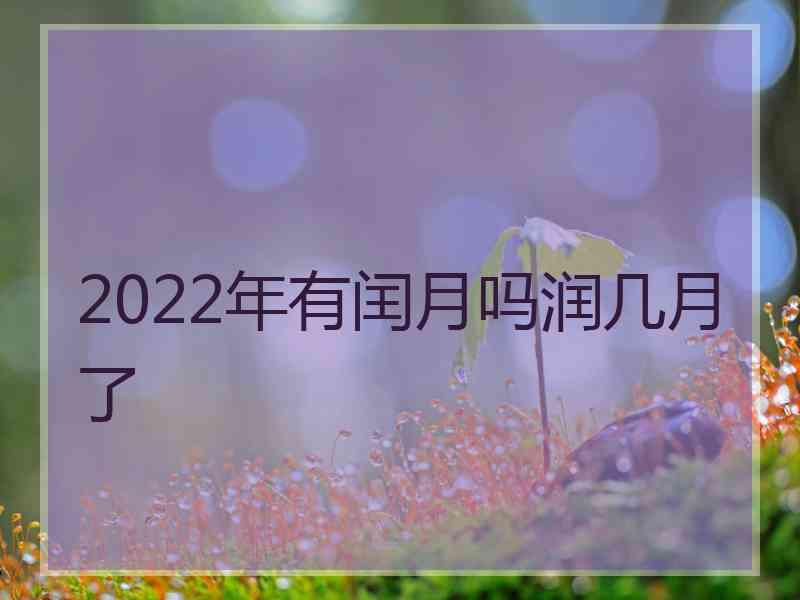 2022年有闰月吗润几月了