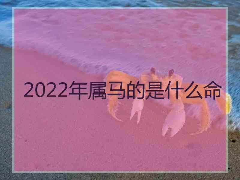 2022年属马的是什么命