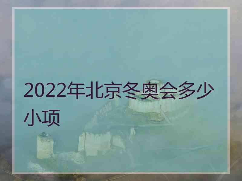 2022年北京冬奥会多少小项