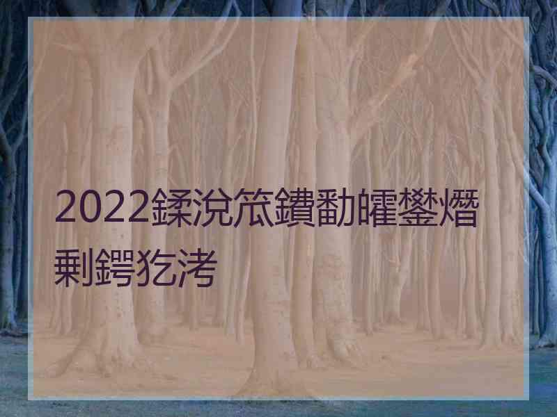 2022鍒涗笟鐨勫皬鐢熸剰鍔犵洘