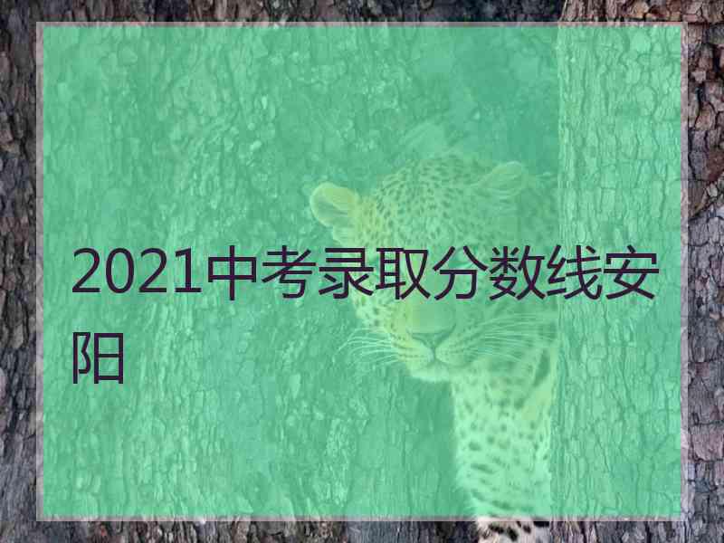 2021中考录取分数线安阳