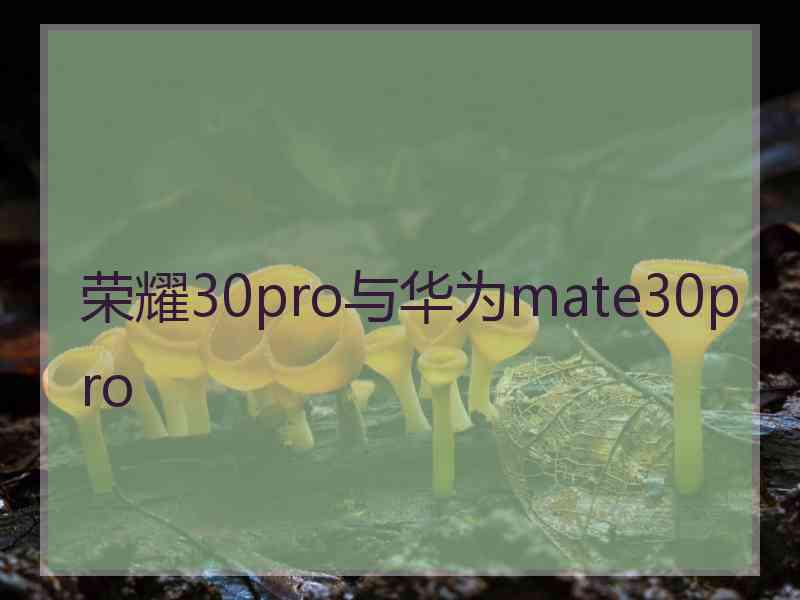 荣耀30pro与华为mate30pro