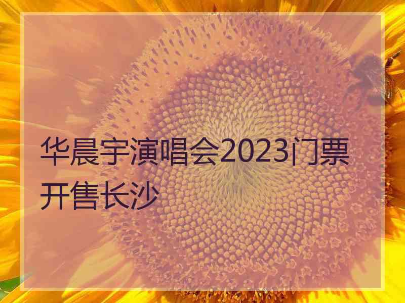 华晨宇演唱会2023门票开售长沙