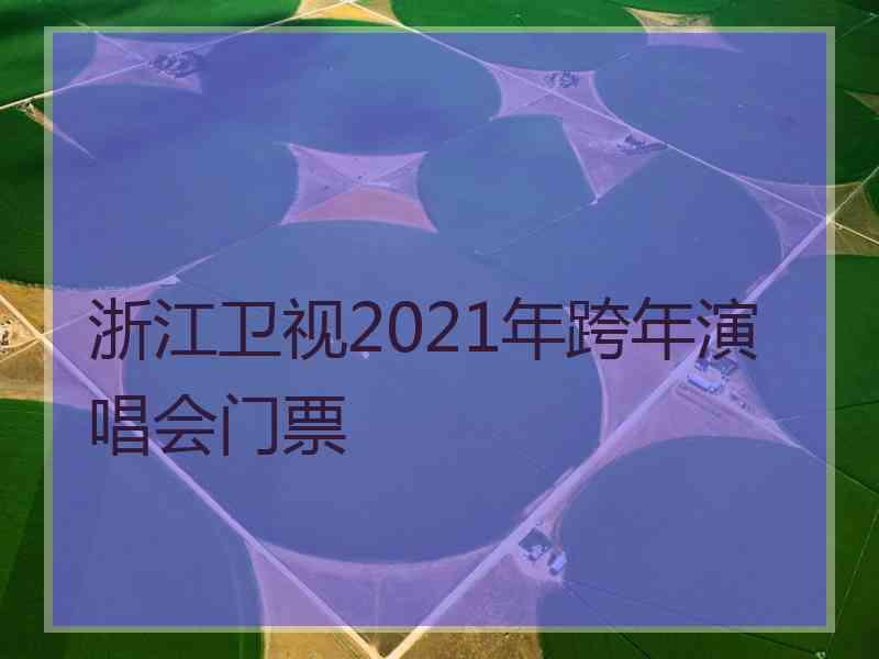 浙江卫视2021年跨年演唱会门票