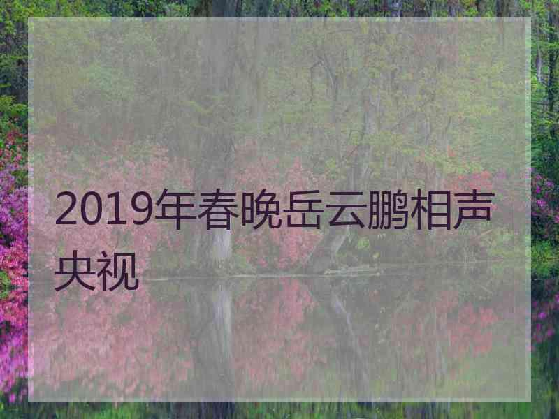 2019年春晚岳云鹏相声央视