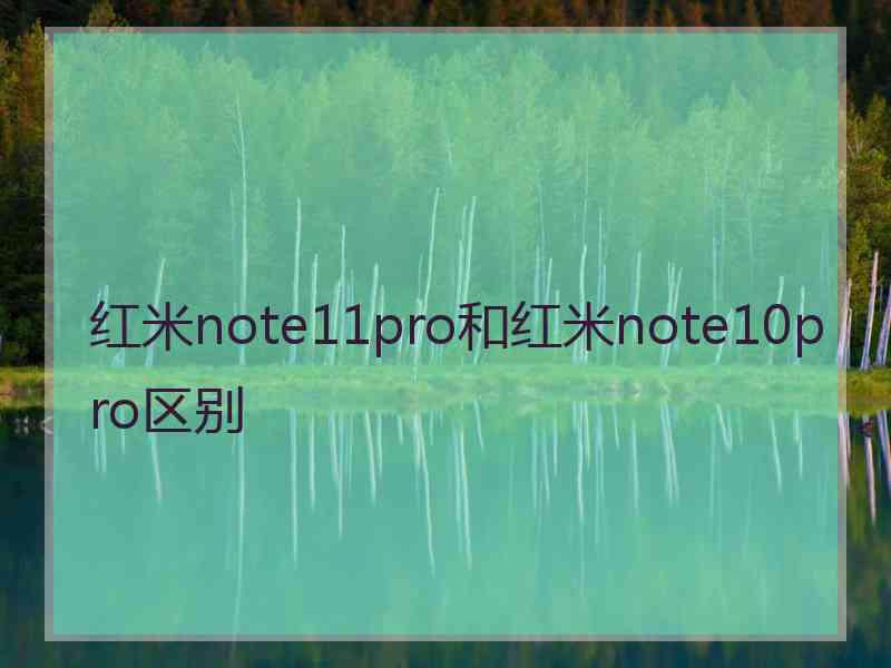 红米note11pro和红米note10pro区别