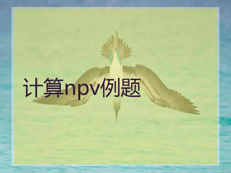 计算npv例题