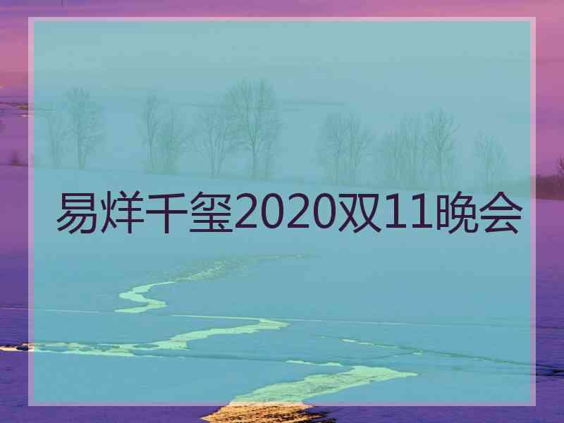 易烊千玺2020双11晚会