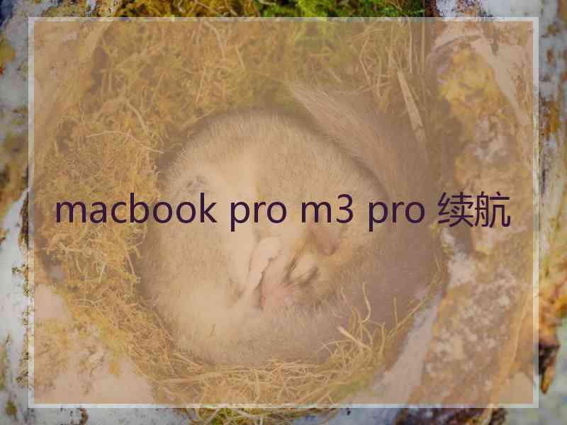 macbook pro m3 pro 续航