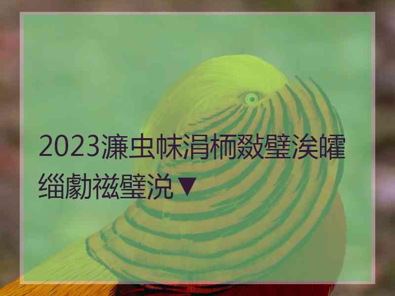 2023濂虫帓涓栭敠璧涘皬缁勮禌璧涚▼