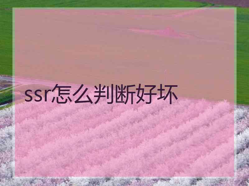 ssr怎么判断好坏