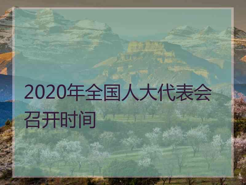 2020年全国人大代表会召开时间