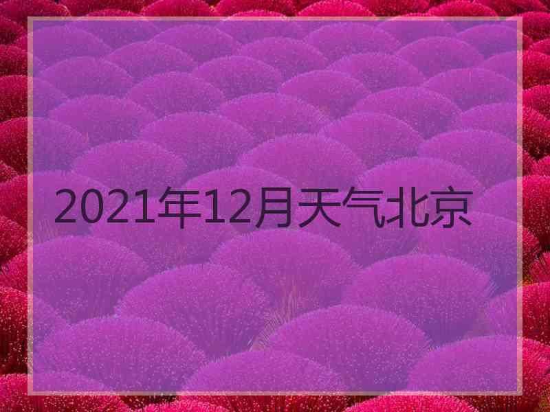 2021年12月天气北京