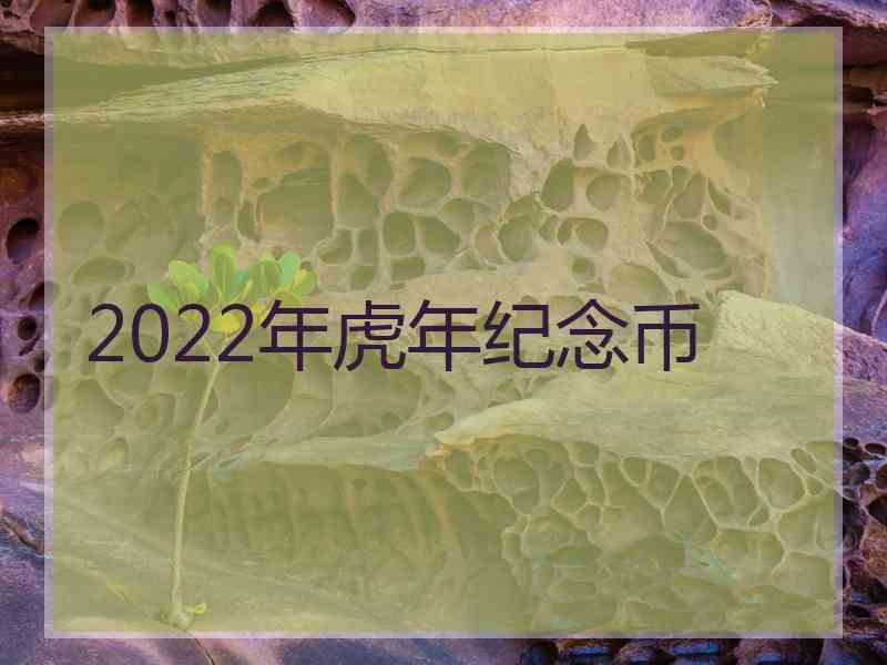 2022年虎年纪念币