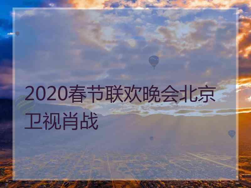 2020春节联欢晚会北京卫视肖战