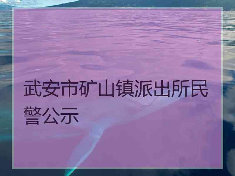 武安市矿山镇派出所民警公示