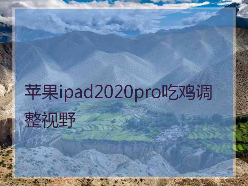 苹果ipad2020pro吃鸡调整视野