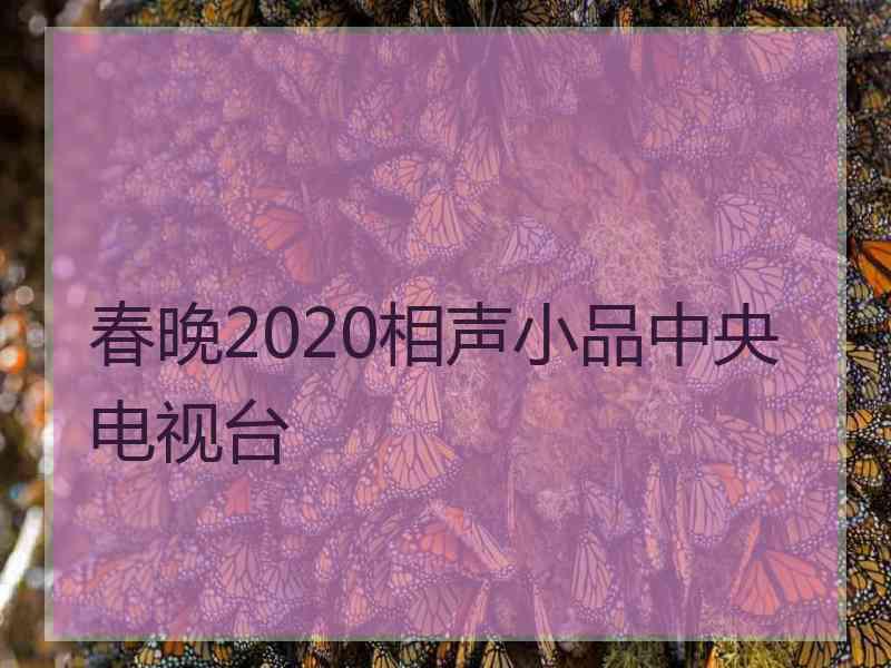 春晚2020相声小品中央电视台