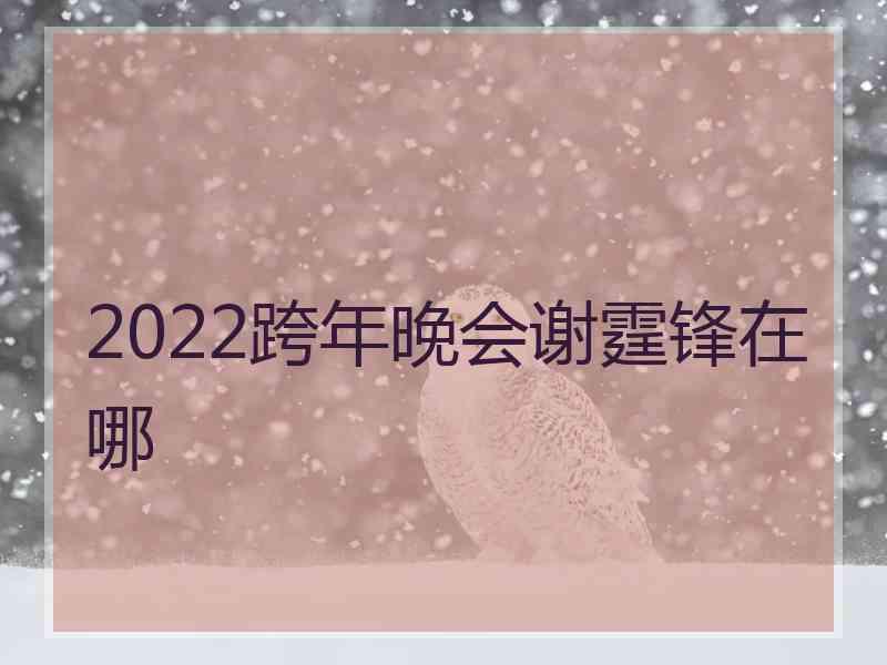 2022跨年晚会谢霆锋在哪