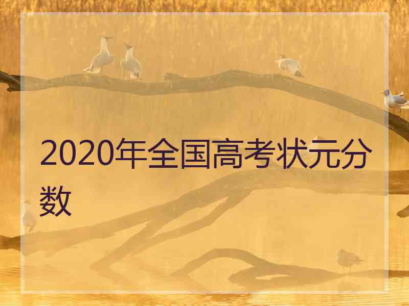 2020年全国高考状元分数