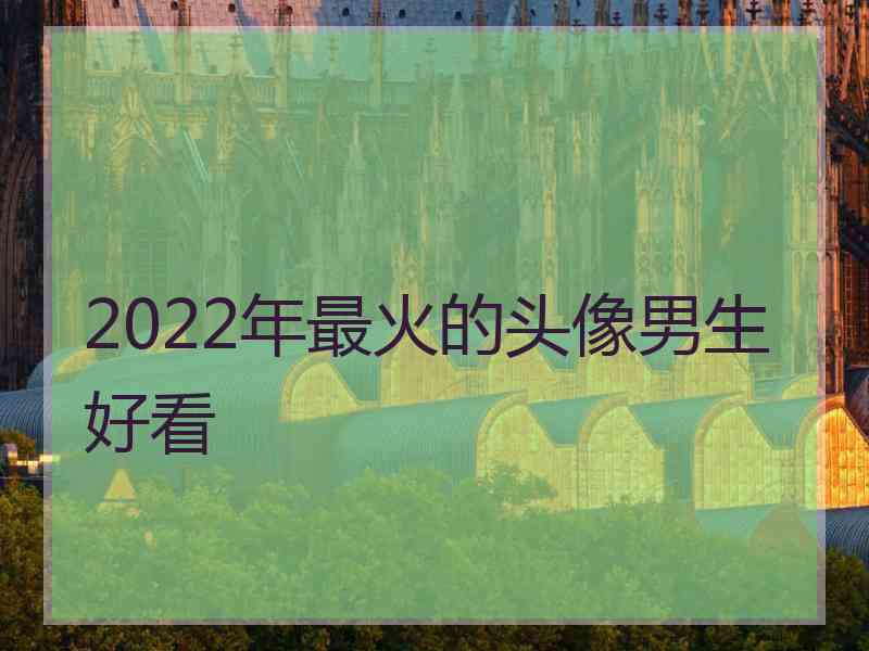 2022年最火的头像男生好看