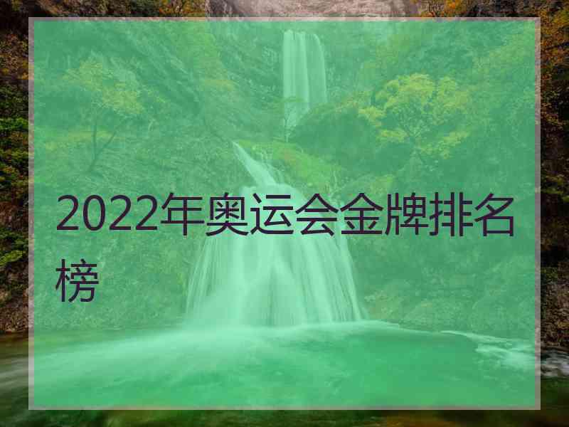 2022年奥运会金牌排名榜