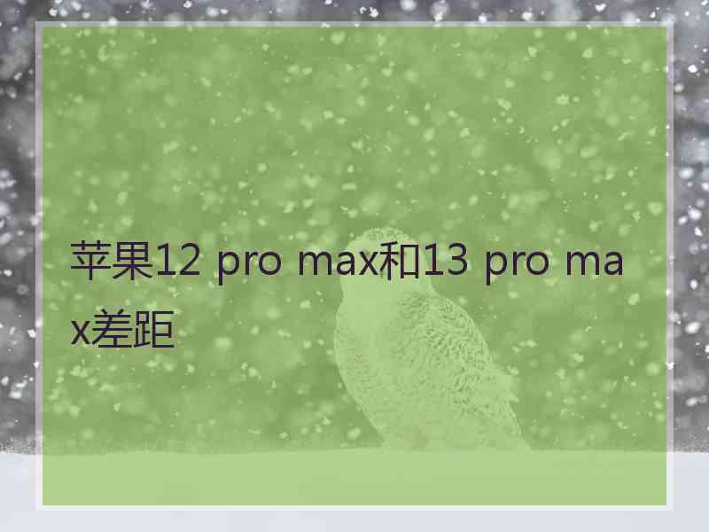 苹果12 pro max和13 pro max差距