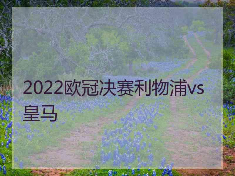 2022欧冠决赛利物浦vs皇马