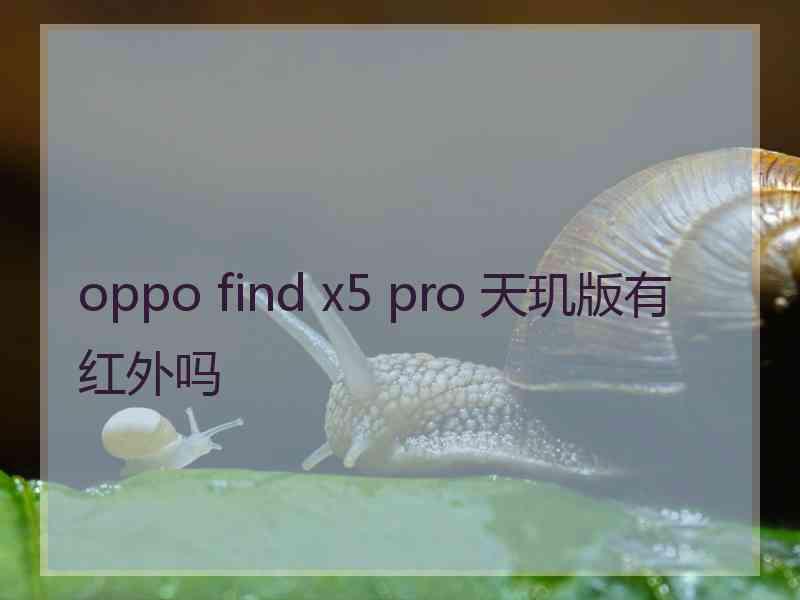 oppo find x5 pro 天玑版有红外吗