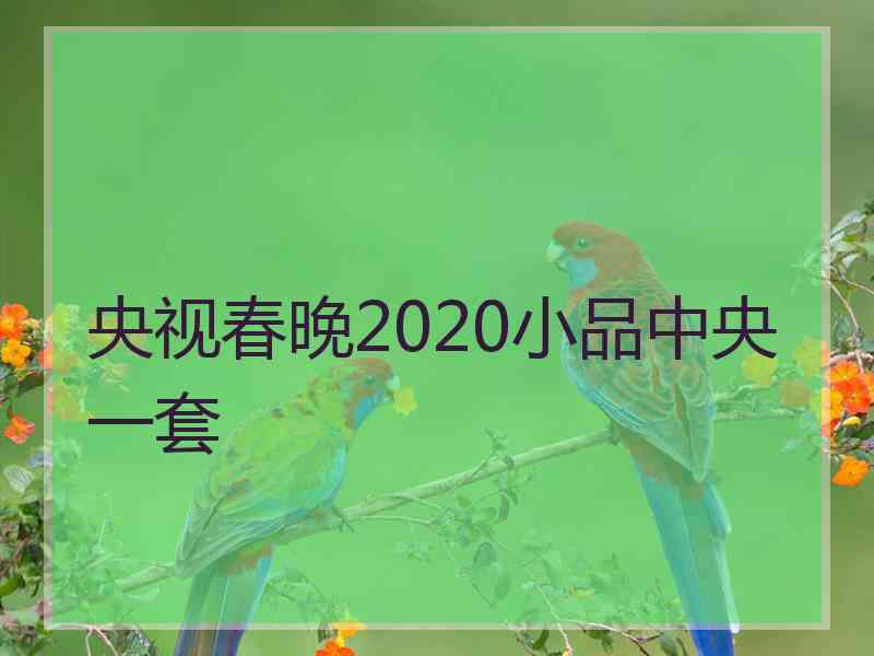 央视春晚2020小品中央一套