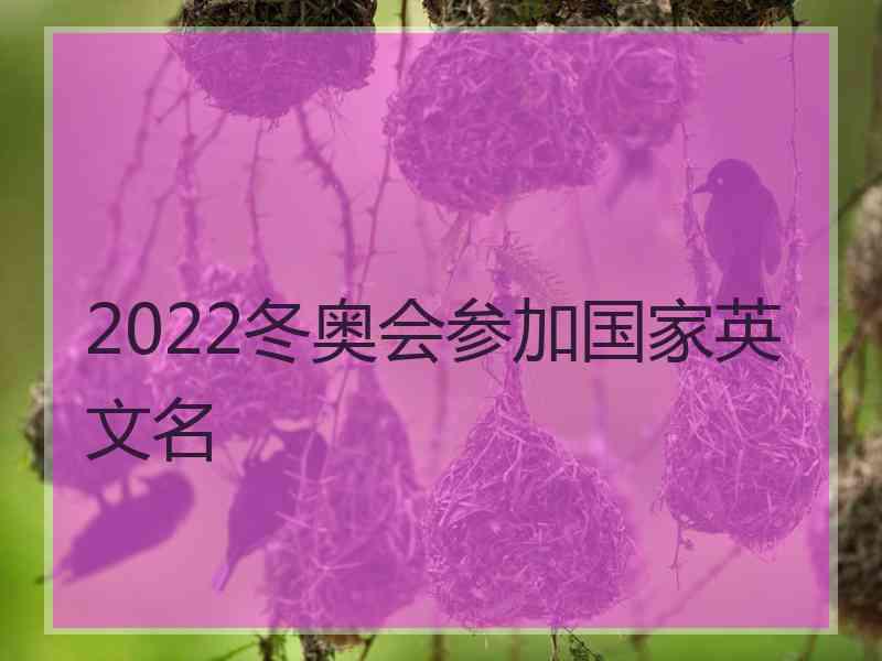 2022冬奥会参加国家英文名