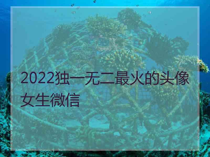 2022独一无二最火的头像女生微信