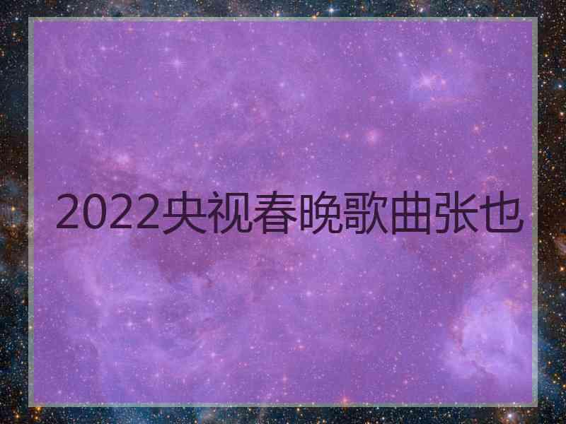 2022央视春晚歌曲张也