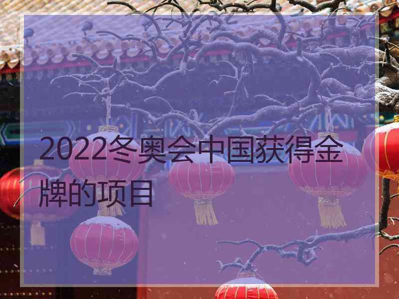 2022冬奥会中国获得金牌的项目