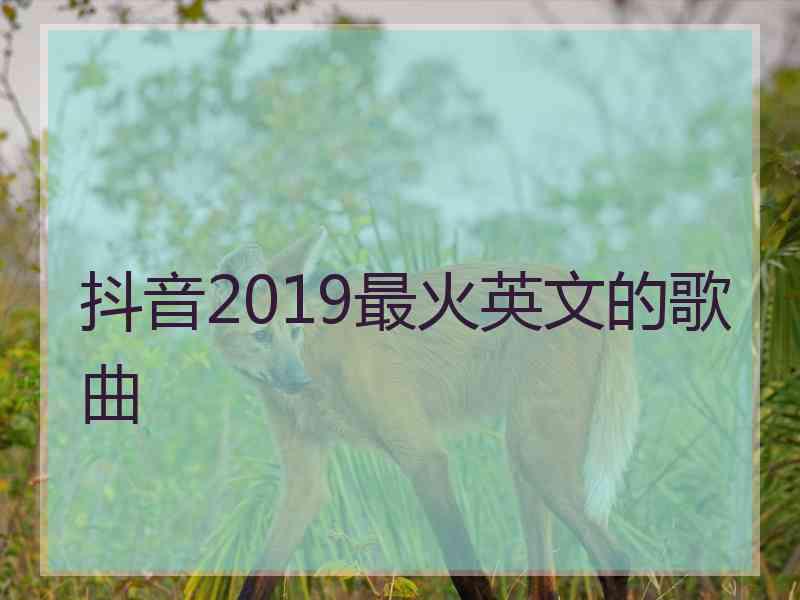 抖音2019最火英文的歌曲