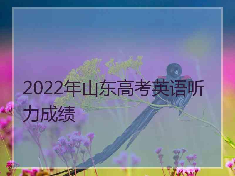 2022年山东高考英语听力成绩