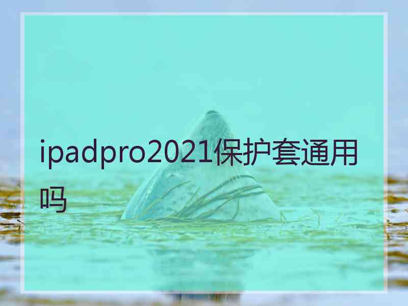 ipadpro2021保护套通用吗