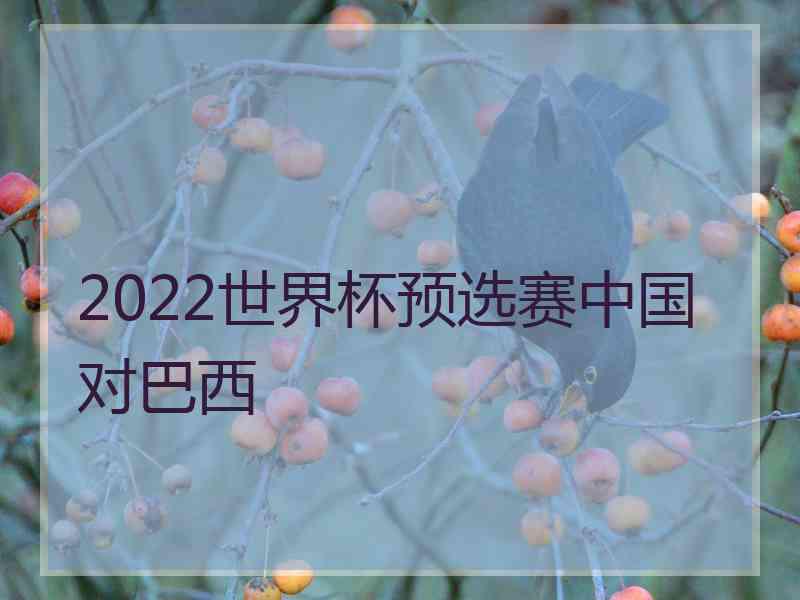 2022世界杯预选赛中国对巴西